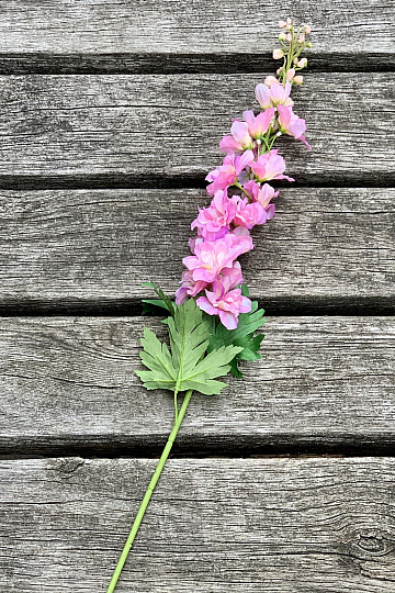 Delphinium rose 79 cm