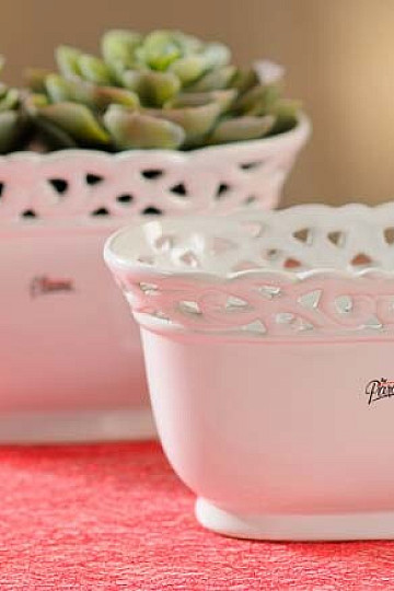 Dentelle Jardinka blanche 24 cm