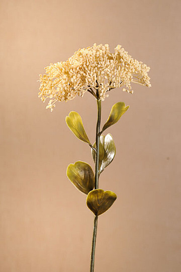 SEDUM SEC PLEINE FLEUR 46 cm blanc