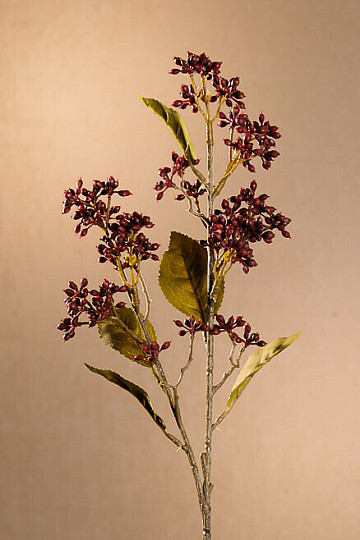 VIBURNUM TINUS SEC 58 cm bordeaux