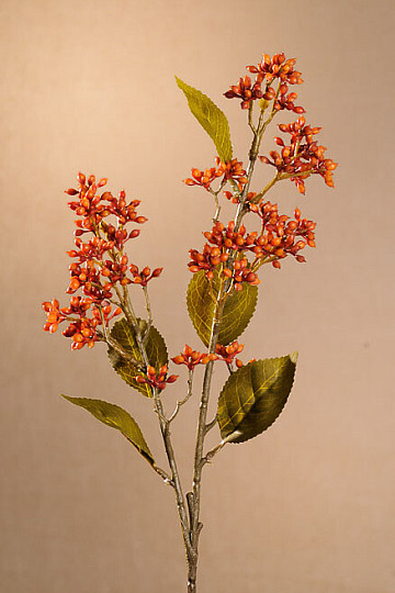 VIBURNUM TINUS SEC 58 cm orange