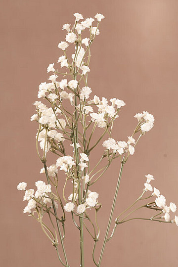 Crème GYPSOFILA