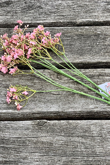 GYPSOFILA rose