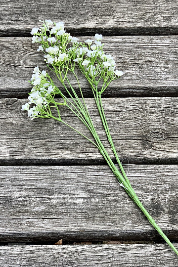 GYPSOFILA blanc
