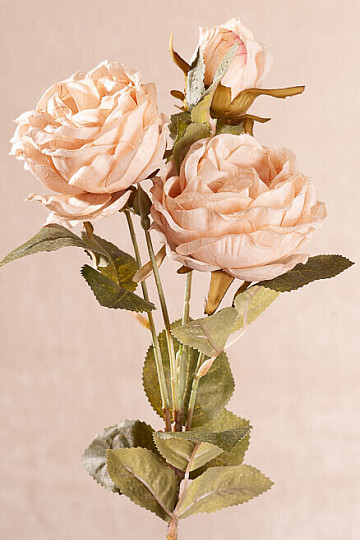 CHOU ROSE crémeux