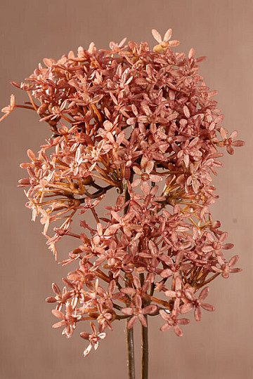 FLEUR DE COURONNE SÈCHE ROSE
