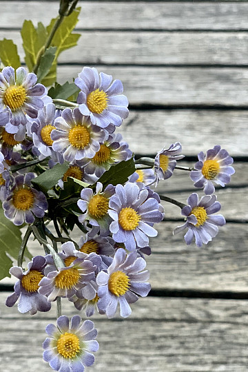 MINI MARGUERITE BLEUE