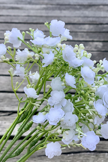 PLÂTRE AÉROSOL BLANC