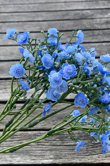 GYPSE SPRAY BLEU