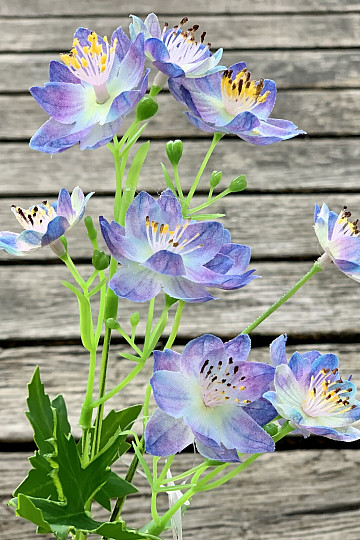 FLEUR SAUVAGE BLEUE