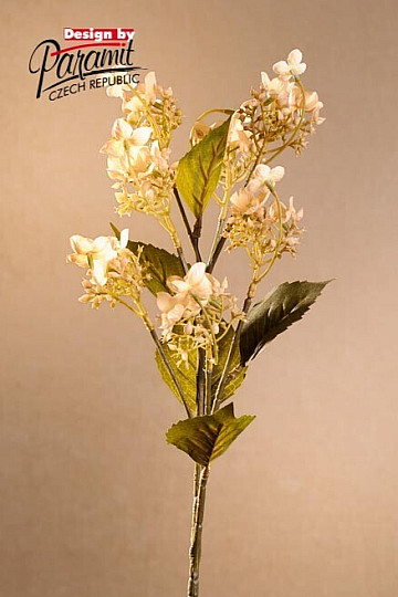 CRÈME D'HORTENSIAS SAUVAGES