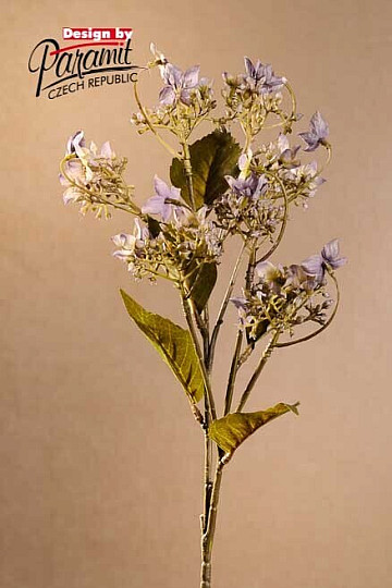 HORTENSIAS SAUVAGES BLEU