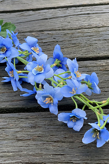 BLEU DELPHINIUM