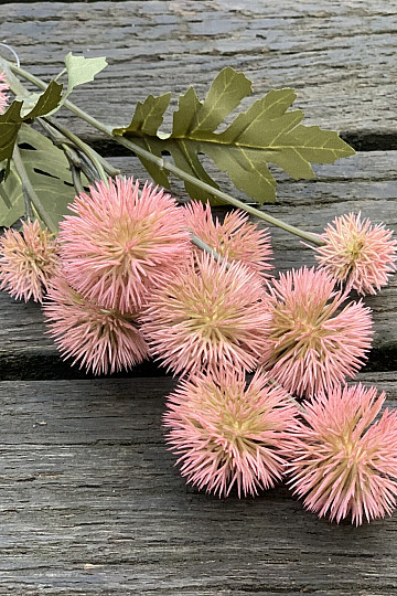 POMPON EN PLASTIQUE SEC ROSE