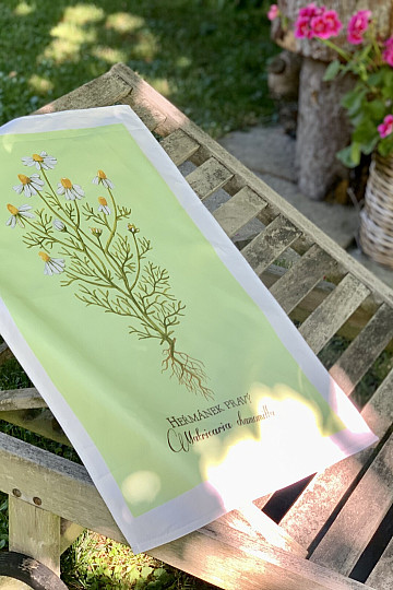 Serviettes en coton CAMOMILLE