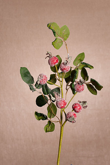 FLÈCHES RECOUVERTES DE NEIGE