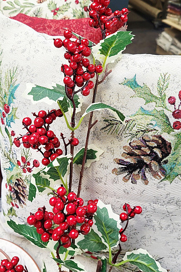 SPRAY À BAIES rouge