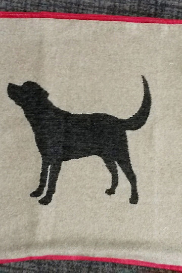 housse DF pour chiens LABRADOR beige