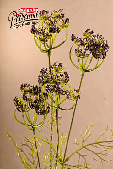 Aneth violet 80 cm