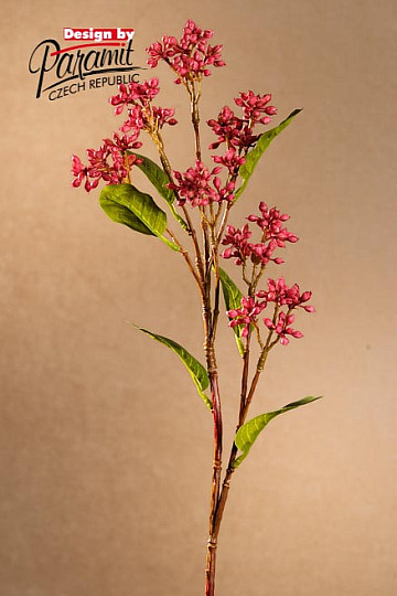 Baie de vin japonaise 63 cm
