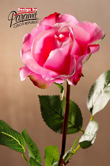 Rose sacrée 67 cm