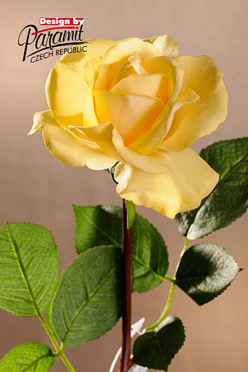 Rose jaune 67 cm