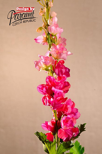 Delphinium bordeaux 79 cm