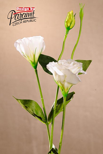 Lisianthus blanc 67 cm