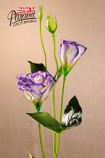 Lisianthus blanc bleu 67 cm