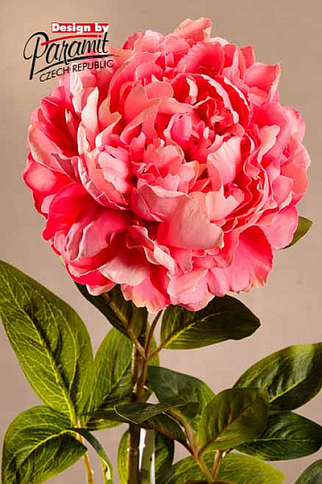 Pivoine rose 72 cm