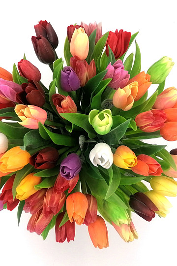Mélange de couleurs de tulipes