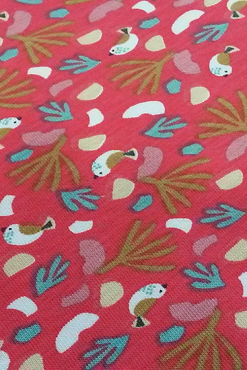 Maille coton LIPO OISEAUX
