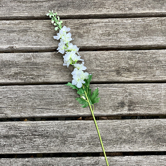 Delphinium blanc 79 cm