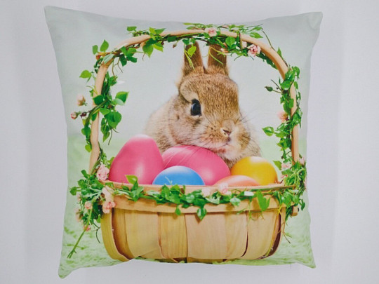 Couverture LIEVRE DANS UN PANIER