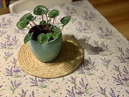 Nappe PARFUM LAVANDE 120x120