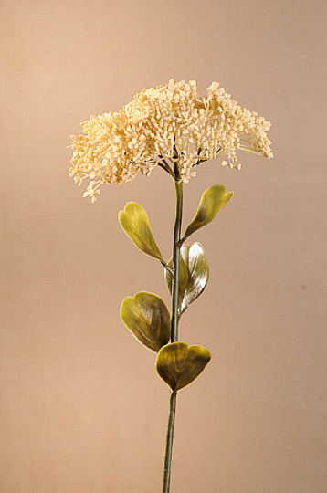 SEDUM SEC PLEINE FLEUR 46 cm blanc