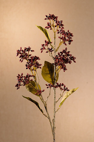 VIBURNUM TINUS SEC 58 cm bordeaux