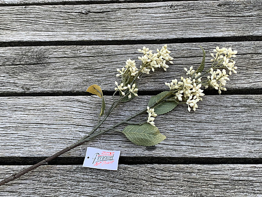 VIBURNUM TINUS SEC 58 cm blanc