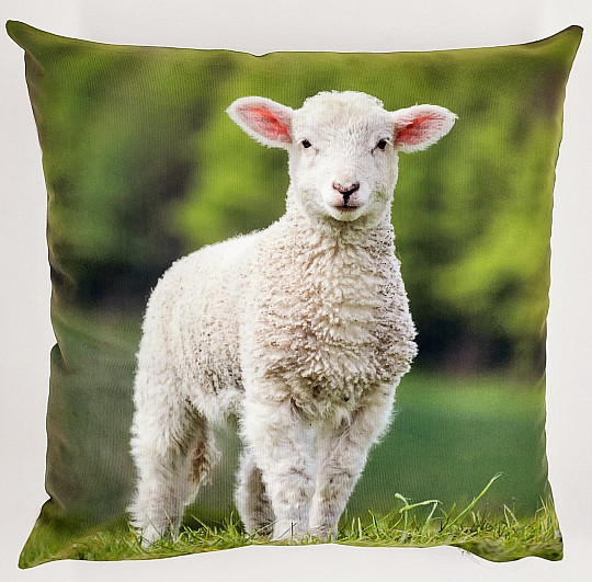 Taie d'oreiller décorative MOUTON