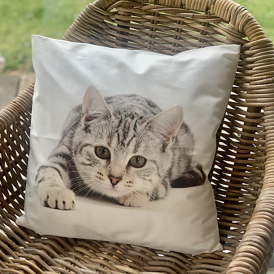 Housse de coussin déco CHAT Couché