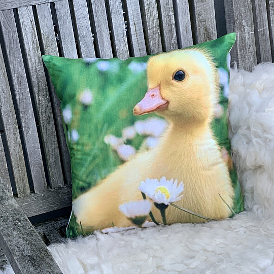 Housse de coussin décorative HOUSÁTKO