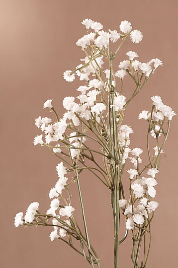 GYPSOFILA blanc