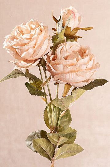 CHOU ROSE crémeux