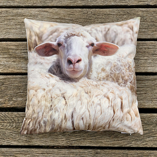 Taie doreiller MOUTON