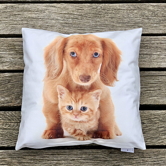 Taie d&#39;oreiller CHIEN ET CHAT