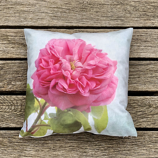 Taie d'oreiller ROSE CENTOPLE