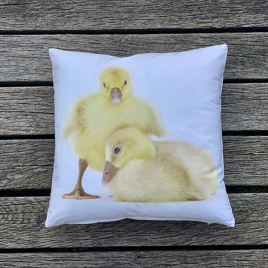 Taie d'oreiller décorative GOOSE