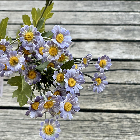 MINI MARGUERITE BLEUE