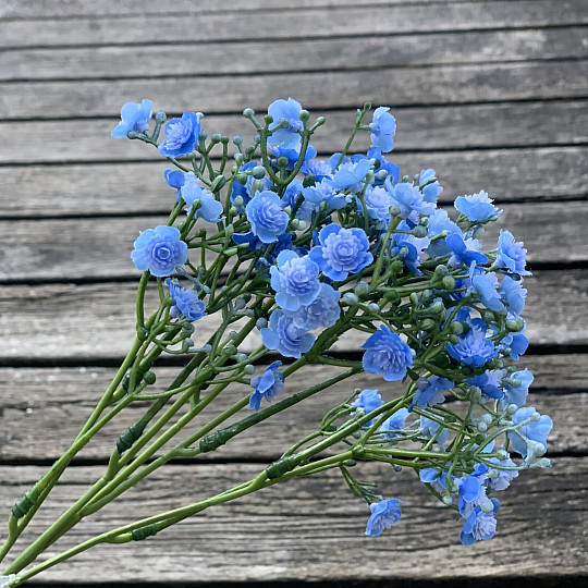 GYPSE SPRAY BLEU