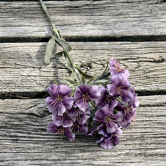 ŒILLET VIOLET